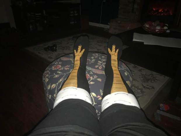 26169041_10159838538535613_196819665748518723_n