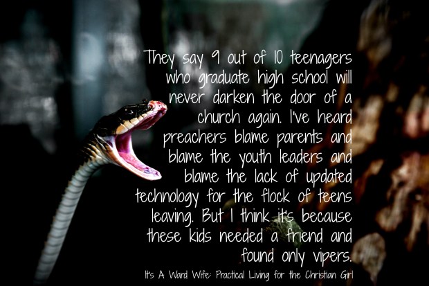 animal-reptile-snake-23817