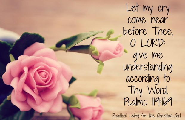 bloom-blossom-flora-1028707