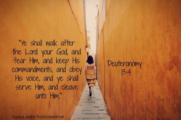 walk with God.jpg